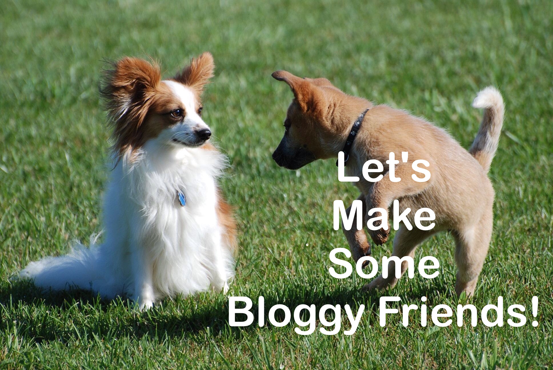 How to make Blogging Friends